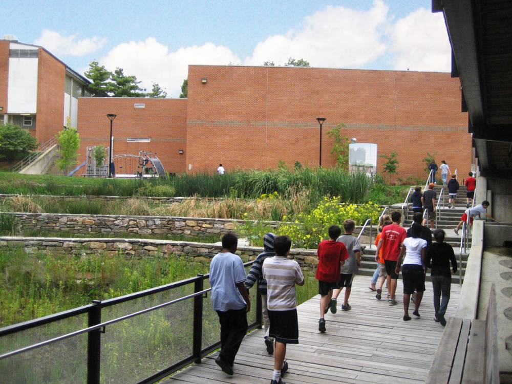Students walk past terraced constructed wetland