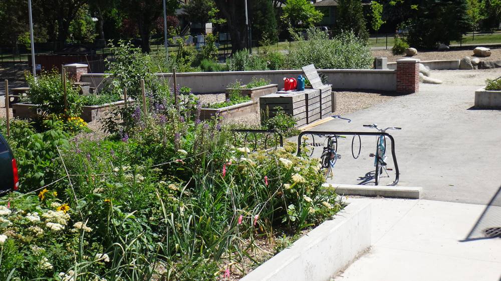 Bicycle racks beside the community garden