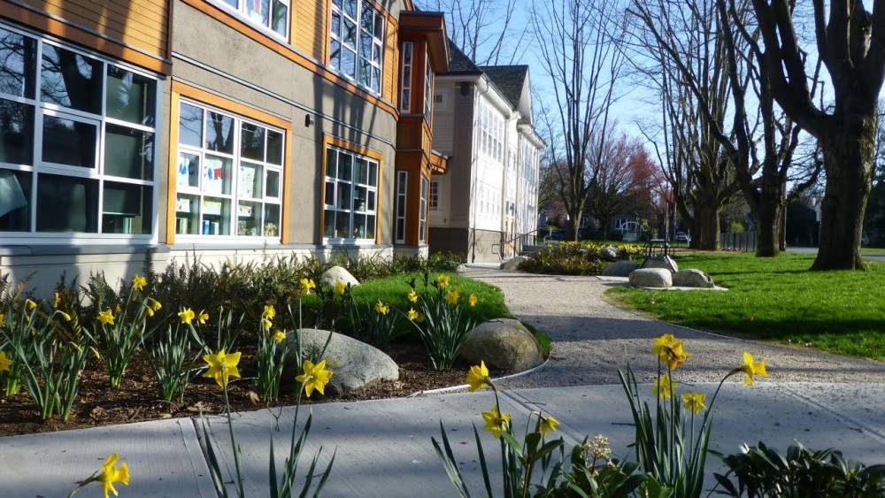 Daffodils and a crushed gravel walkway