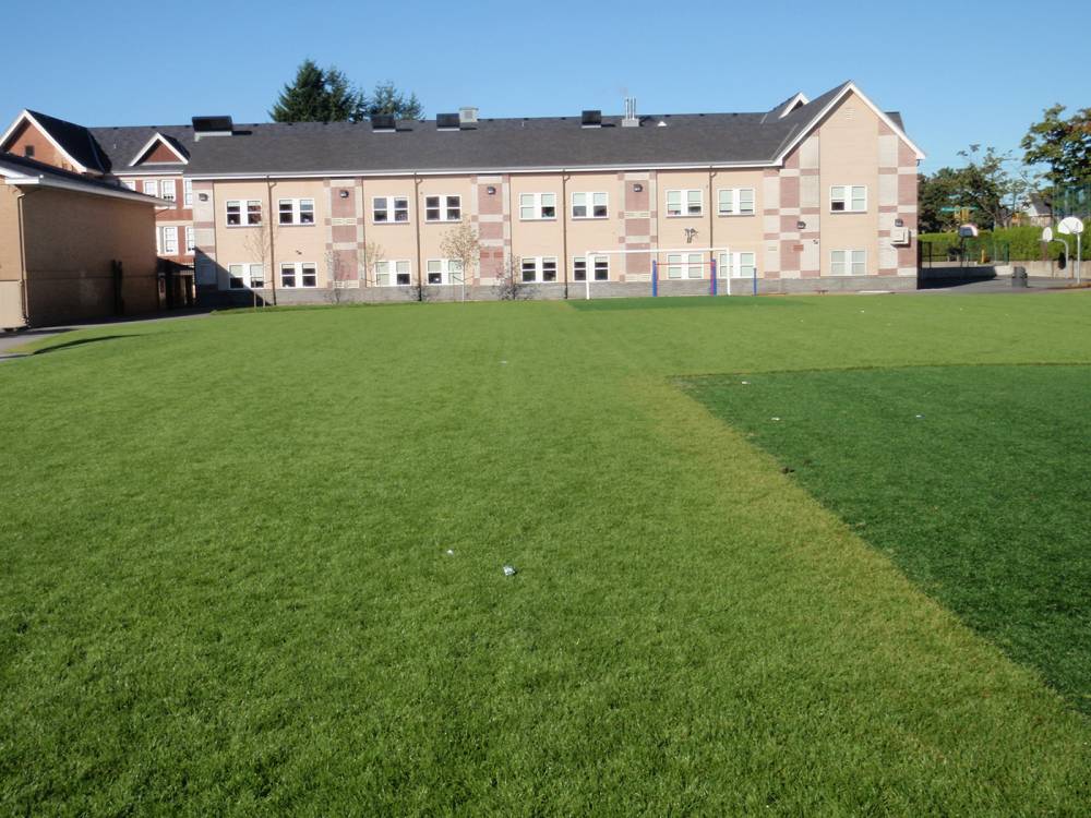 Grass field with astroturf around goal posts due to high wear in those areas