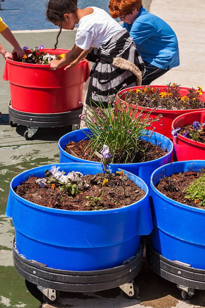 Colourful bucket planters on wheels make it easy to move plants around