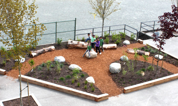 Aerial view of outdoor classroom garden with mulch paths