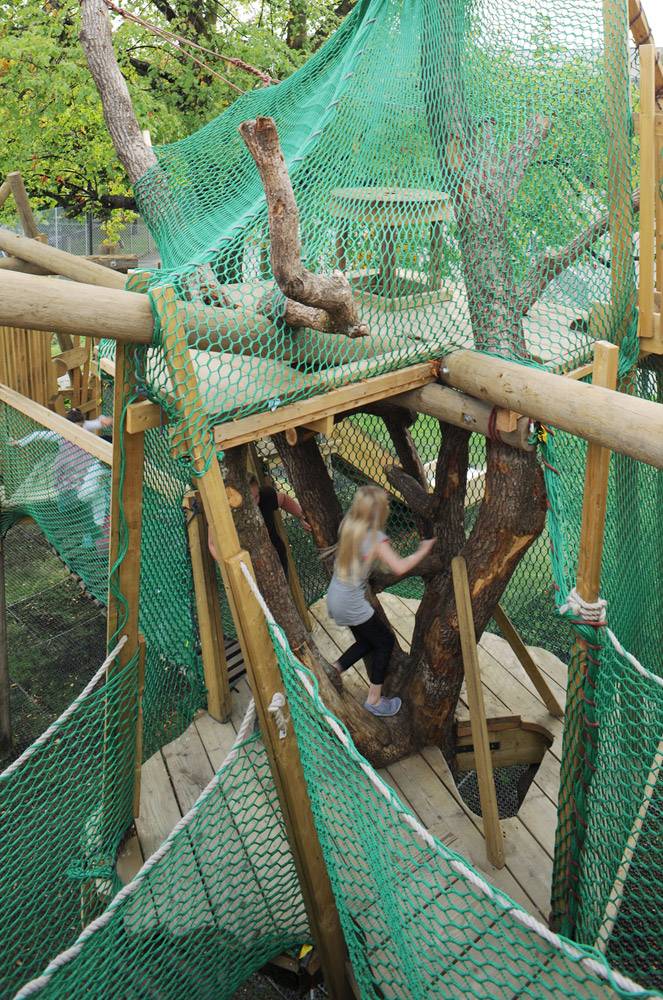 Bright green net walls surround this adventurous play structure