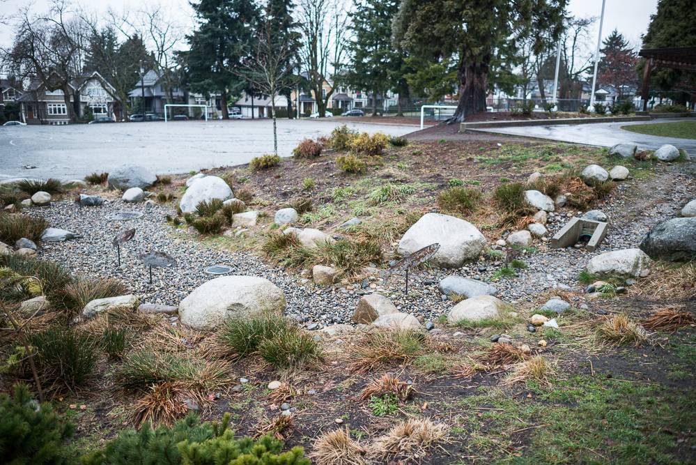 This rain garden features a gravel channel, and plenty of overflow drains
