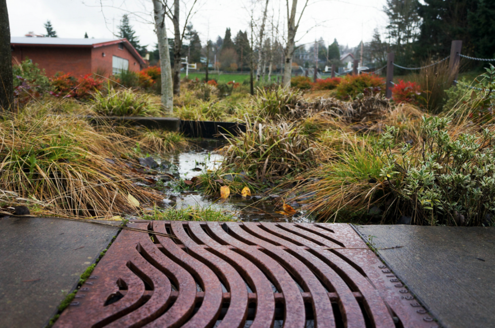 Channels covered with metal grates direct water into a rain garden
