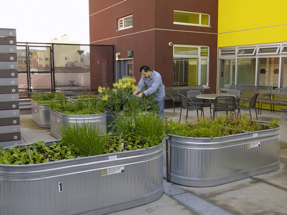 Metal tubs make the perfect planters for a rooftop community garden