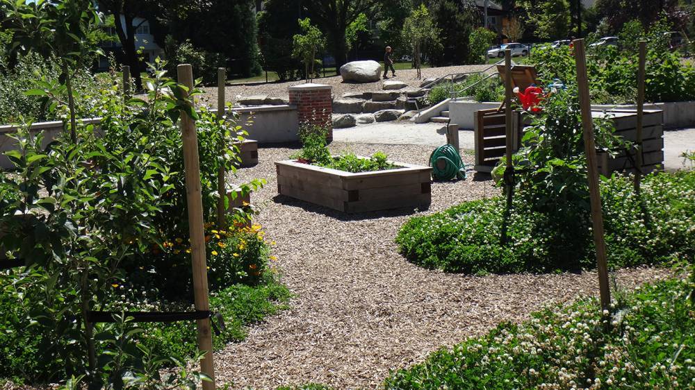 Clover pods surround raised planters in this community garden