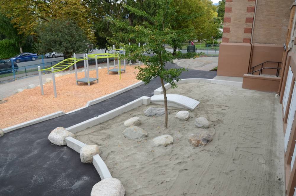 Sand play area with a shade tree