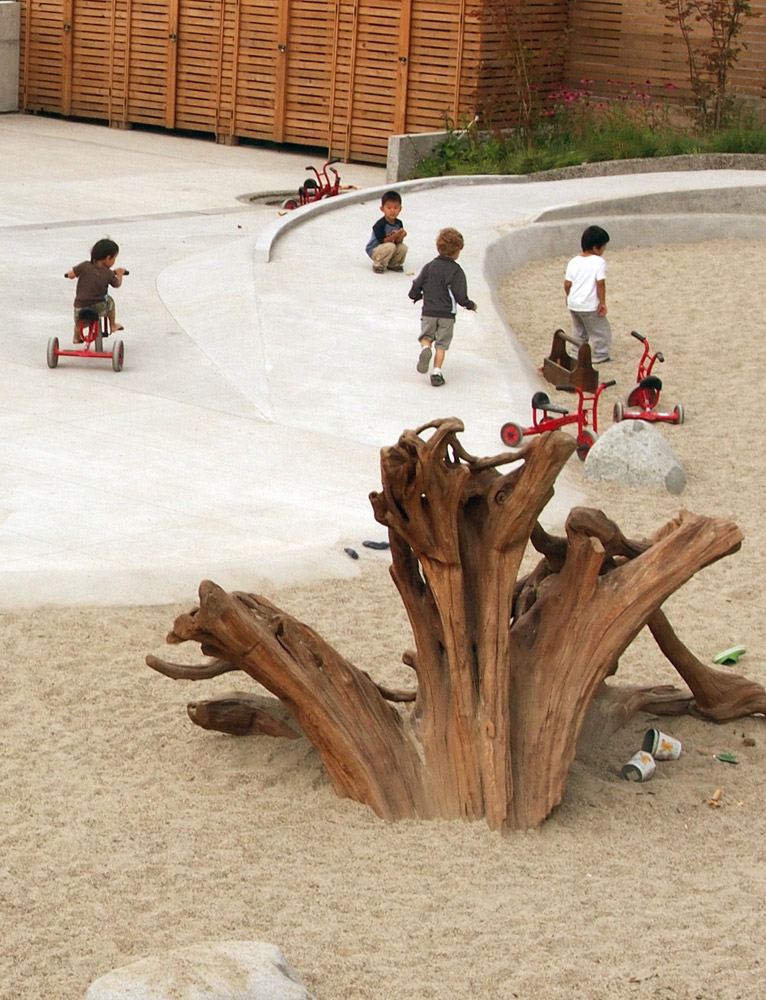 A driftwood stump becomes an interesting play structure