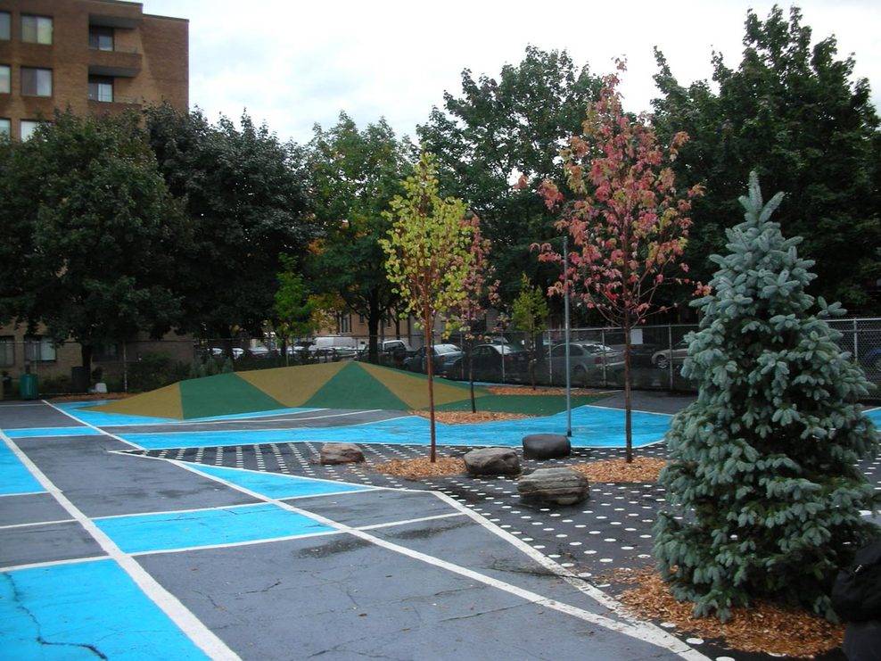 A combination of evergreen and deciduous trees shade this asphalt area