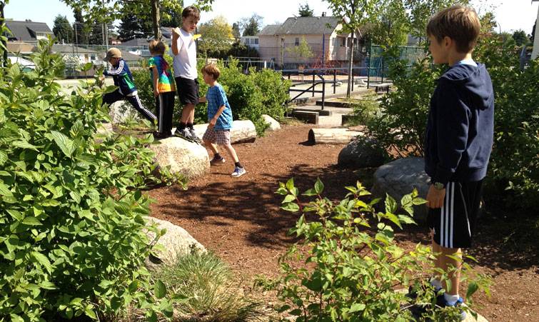 Shrubs add plenty of green to this Vancouver school garden and play area