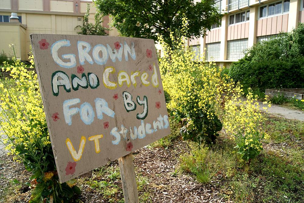 Hand-made sign by proud student gardeners