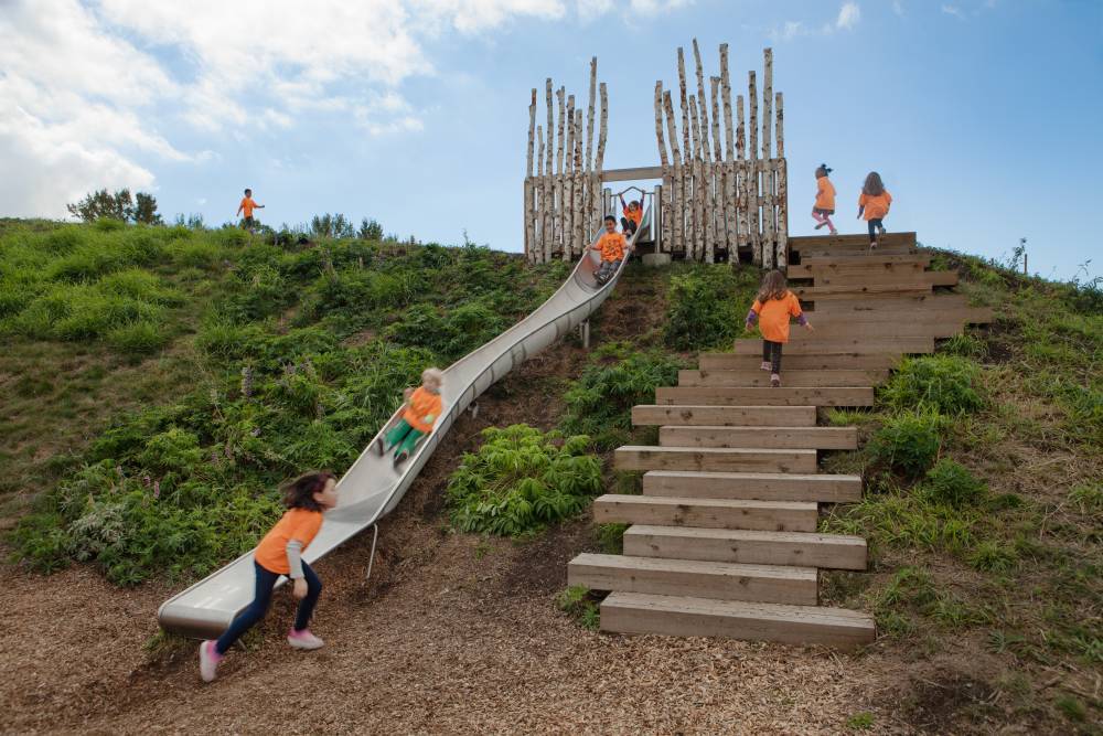 Blocky wooden stairs lead up a planted slope to a slide