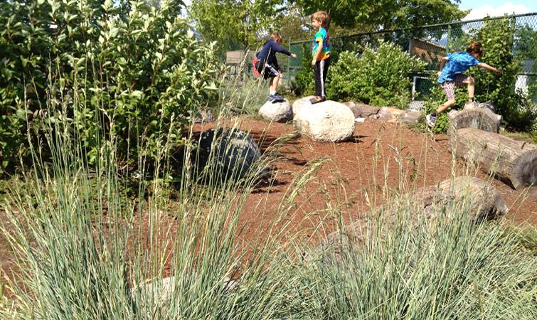 These silvery grasses add a fine texture element to this school garden