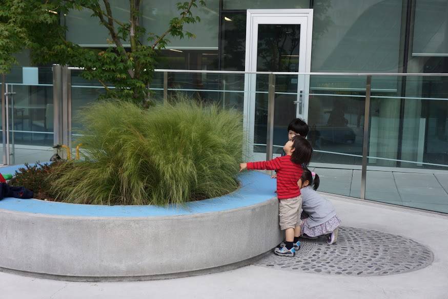 Tall grasses with a soft texture make for a fun play element