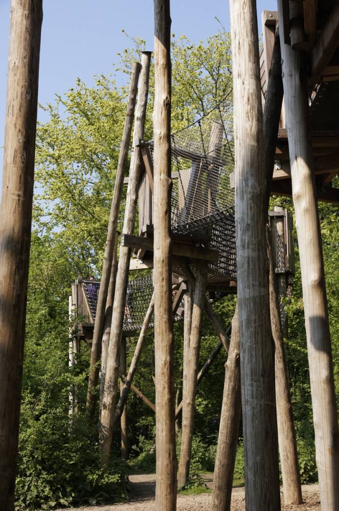 Tall peeled logs support a tree top walkway
