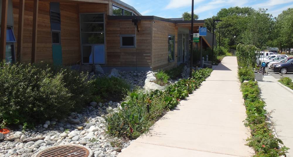 Rain gardens capture runoff from the building roof