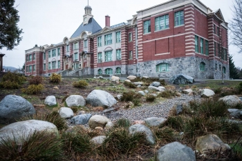 View of rain garden with Ridgeway Elementary school beyond