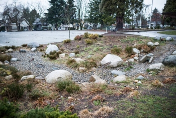 Rain garden with metal salmon sculptures at Ridgeway Elementary, North Vancouver