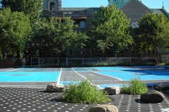 Painted asphalt with embedded plants and boulders at Paul-Bruchesi Primary School