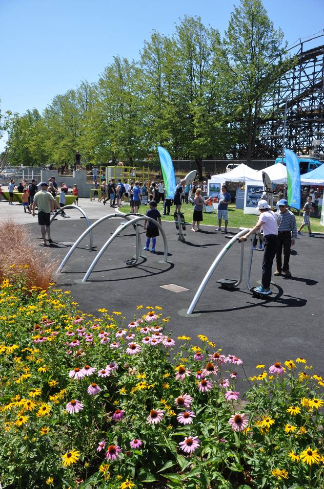 Exercise equipment with a border of meadow flowers in bloom