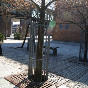 A cage protecting a tree in a high traffic area