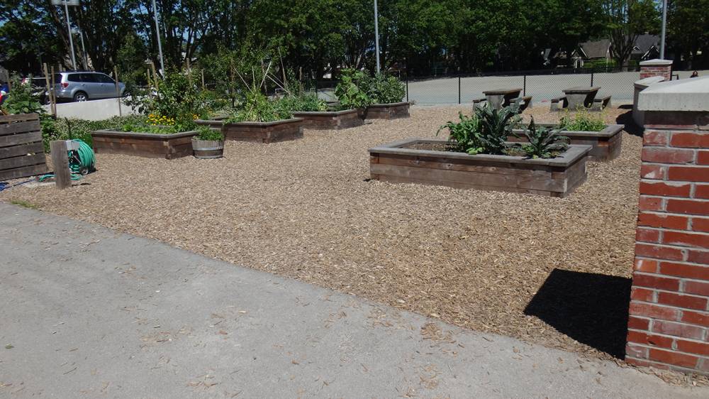 Raised bed planters in the community garden area